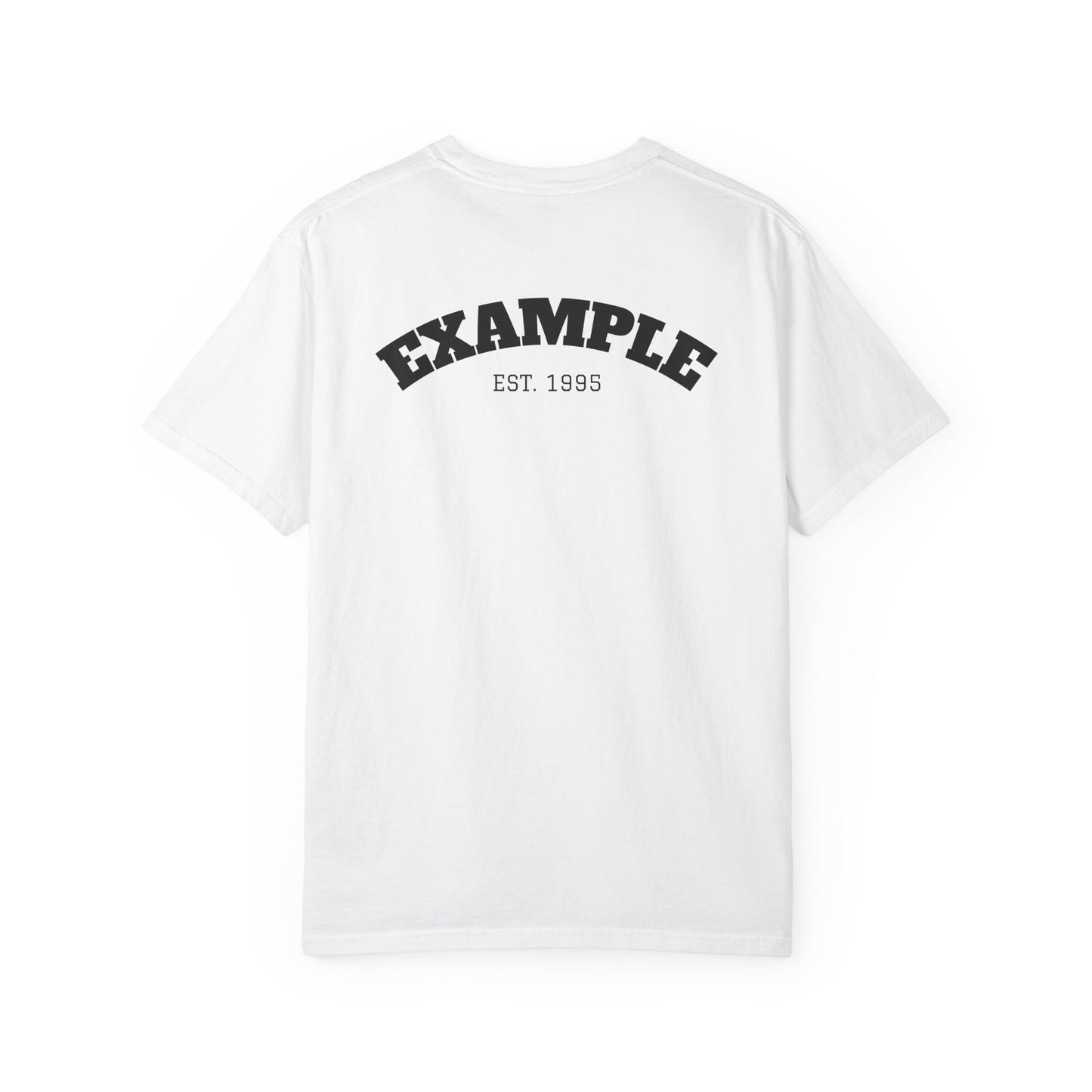 Example Vintage Logo T-Shirt — Minimalist Graphic Tee with 'EXAMPLE EST 1995'